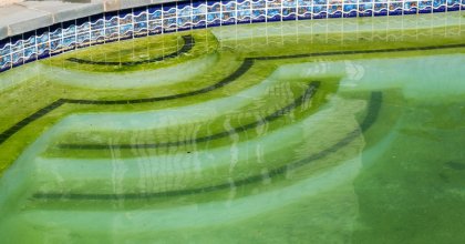 Green Pool Rescue Onsite Assistance